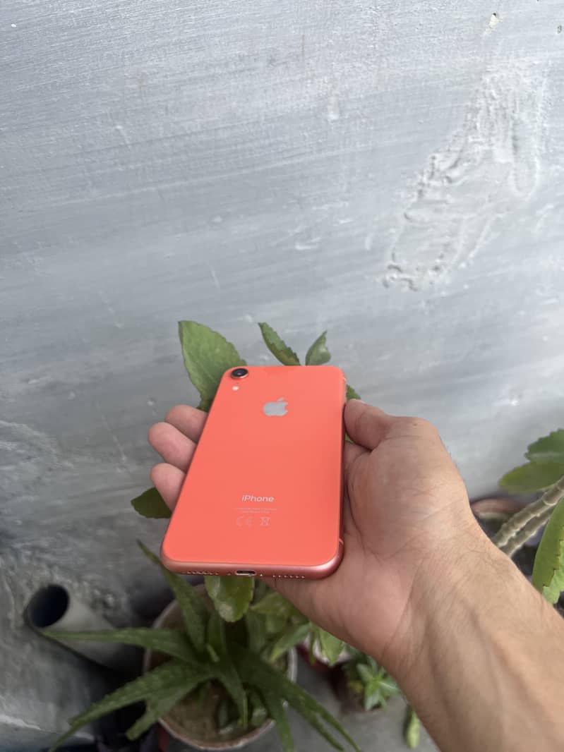 iphone xr BH 78 service 9/10 good for pubg & camera 0