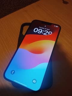 13pro
