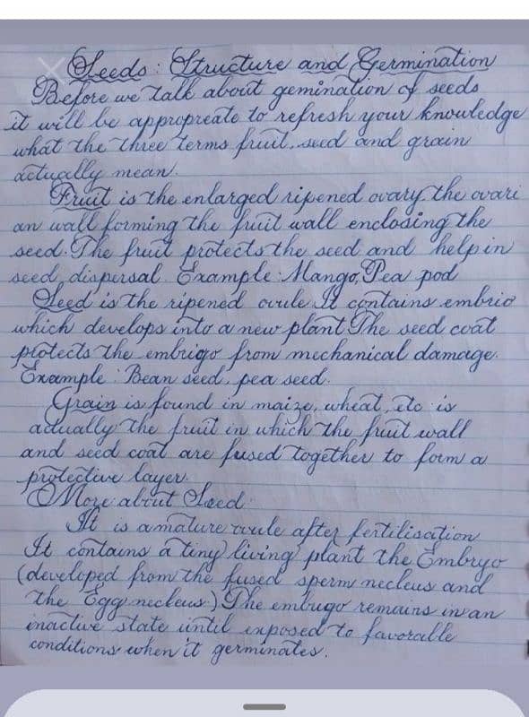 content writing 1