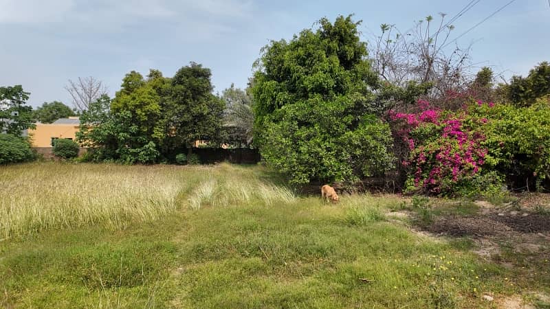 Prime Location 4 Kanal Residential Plot In Lahore Is Available For sale 7