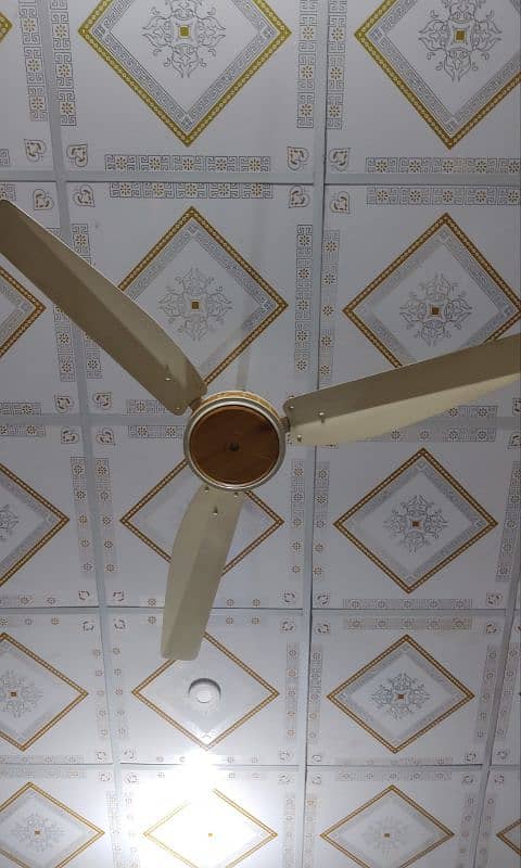 Ceiling fan (All Ok) 0