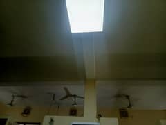 celling fan for sale