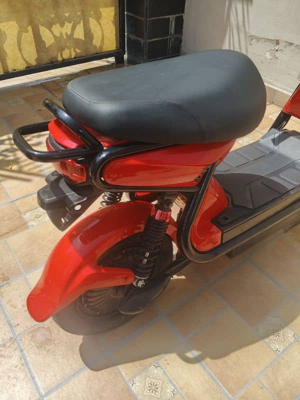 EZ Bike Electric Bike 8