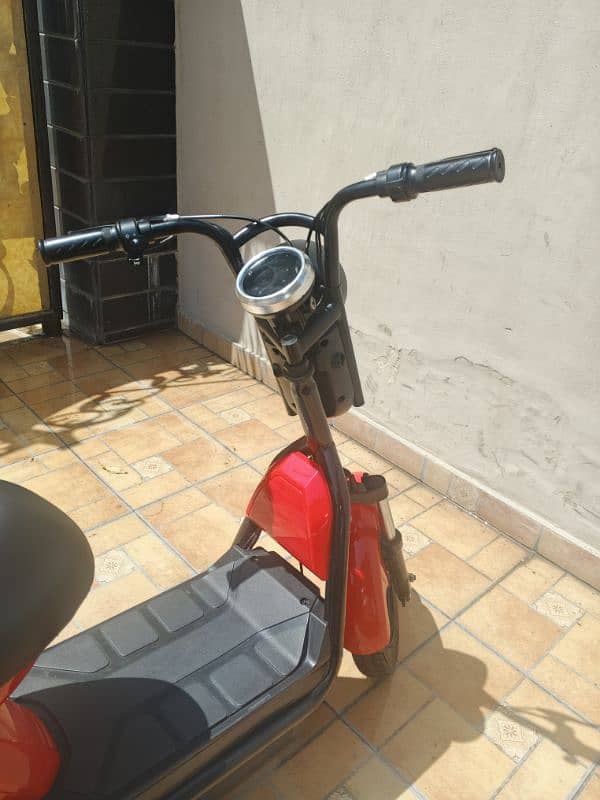 EZ Bike Electric Bike 10