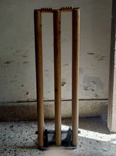 10/9 condition wicket