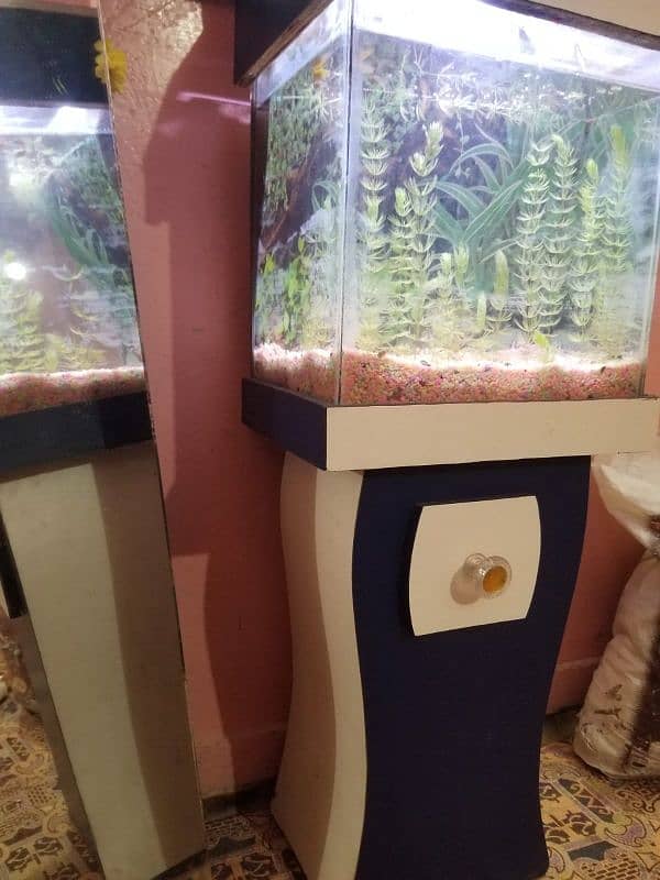 mini aquarium 3