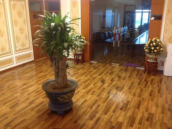 Roller Blinds Window Blinds Wooden Floor Remote control blinds carpet 11