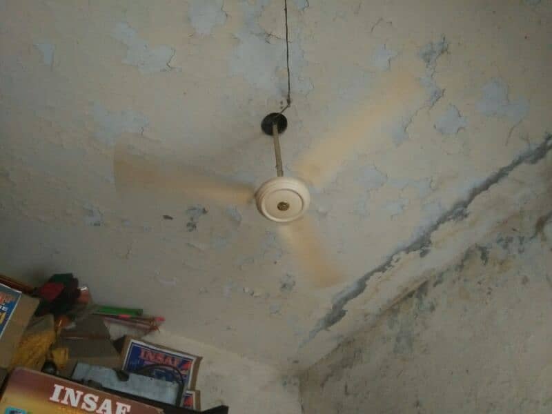 ceeling fan 0