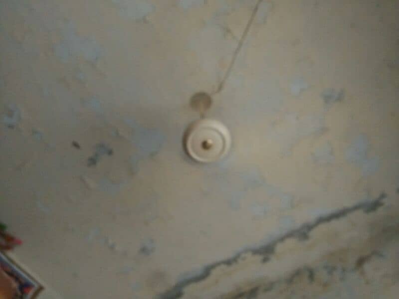 ceeling fan 1