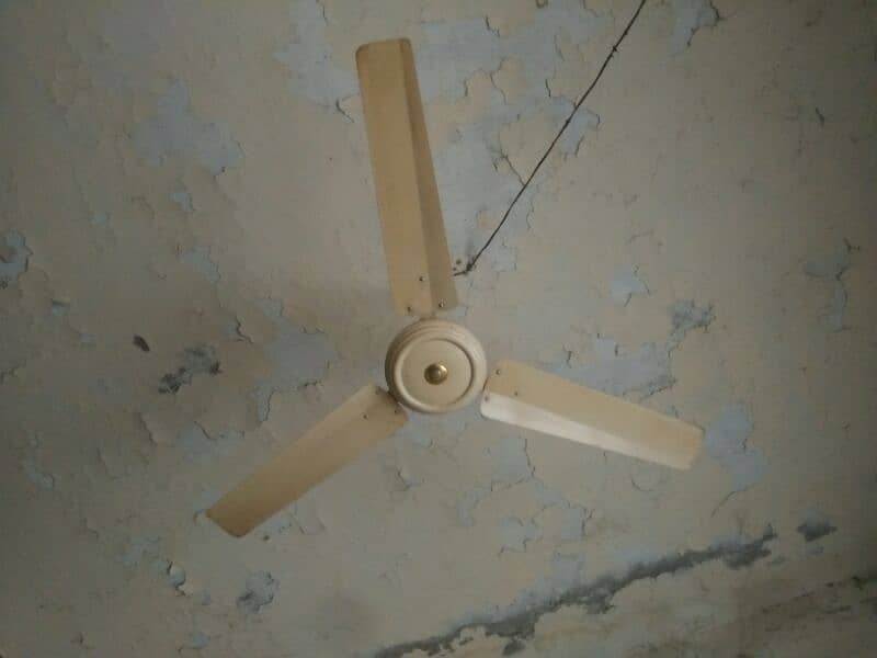 ceeling fan 2