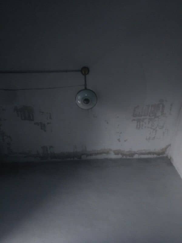 ceeling fan 4