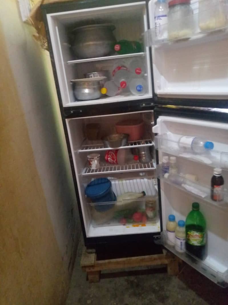 Pel Refregiator 1