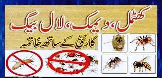 Pest Control/Termite Control/Fumigation Spray/Deemak Control Services 14