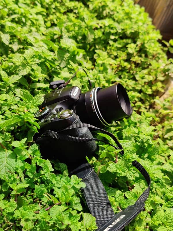 best Camera in low budget 0
