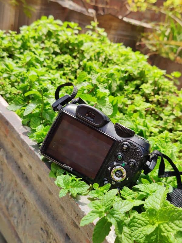 best Camera in low budget 1