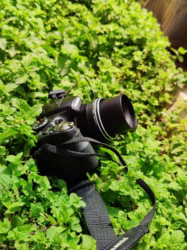 best Camera in low budget 3