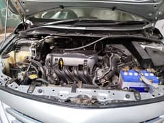 Toyota Corolla GLI 2011