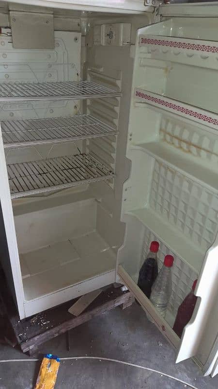 full size fridge 3