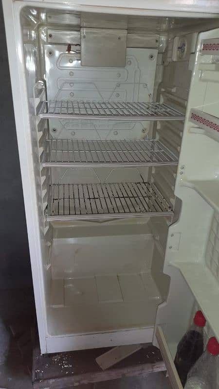 full size fridge 5