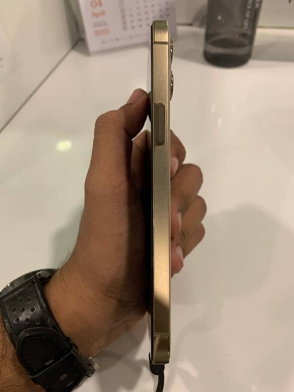 iPhone 12 Pro Max | 256 GB | PTA Approved | Gold Colour 1