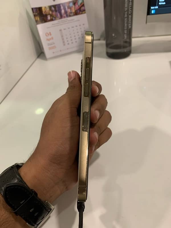 iPhone 12 Pro Max | 256 GB | PTA Approved | Gold Colour 3