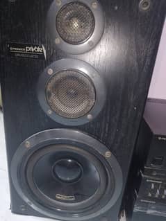 pioneer