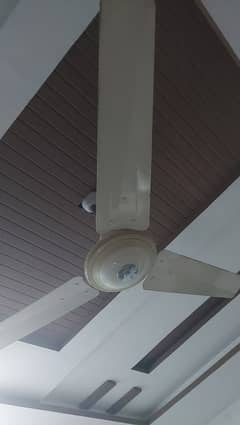 Used