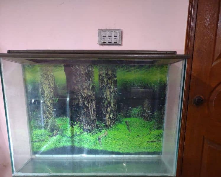 FISH AQUARIUM NEW BIG SIZE 0