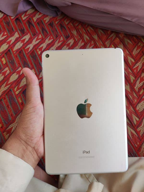 ipple I paid mini 5 2