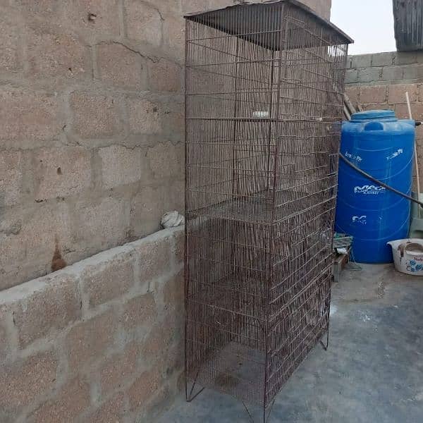 pinjara ha parrots ka number 03363550470 0
