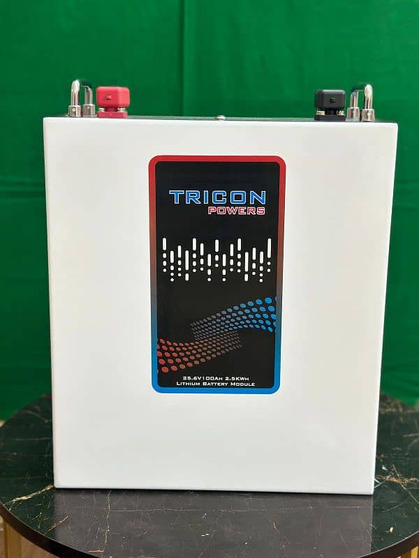lithium battery 24v 100ah 1