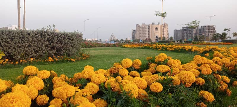 ALI BLOCK Precicnt-12 Near Grand Mosque. Park Face. Corner Category Plot Available FOR SALE 23