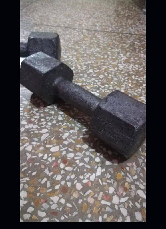Dumbbells for sale 5kg and 8kg 1
