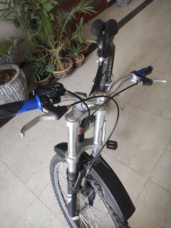 bi cycle 1