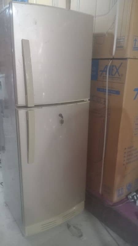 pel medium size 0