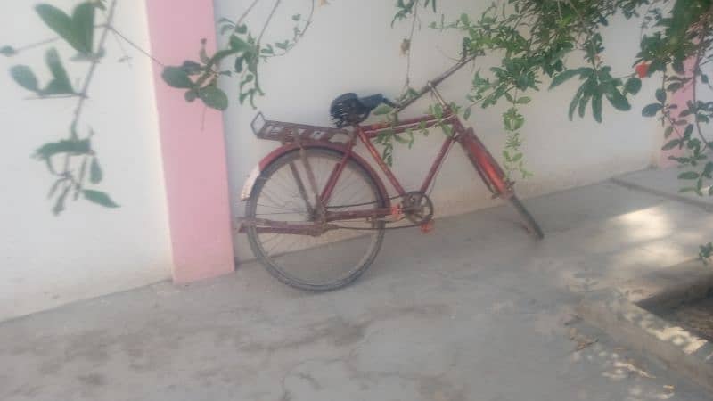 new bycycle 2
