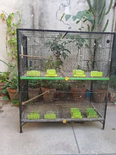 Birds Cage