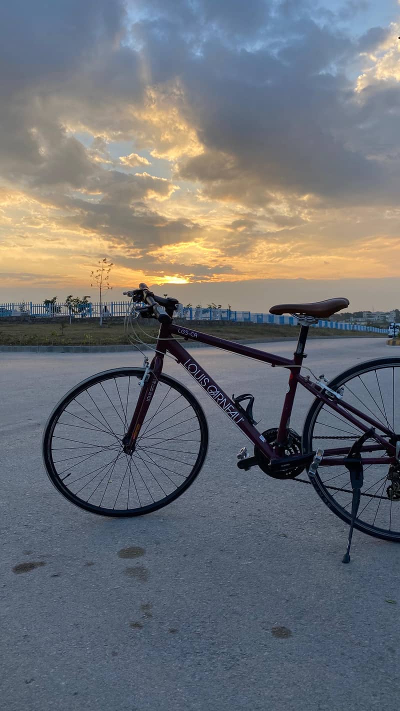 LOUIS GARNEAU ROAD BIKE 5