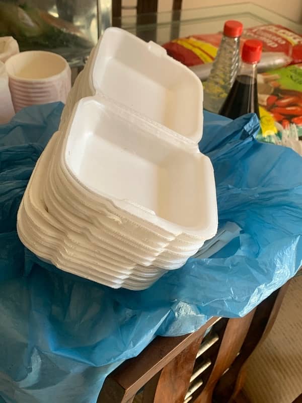 fryer , fries boxes , dips , spoons , plates 10