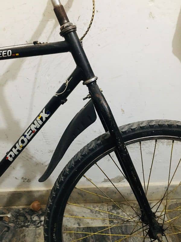 phonex cycle 1