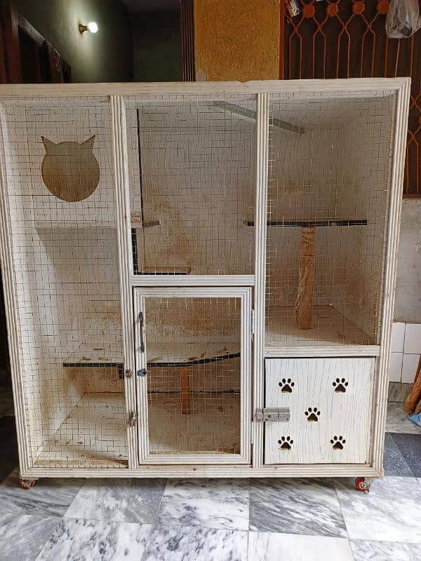 Birds Cage 0