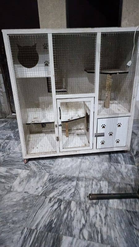 Birds Cage 1