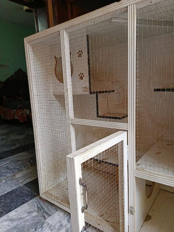 Birds Cage 3