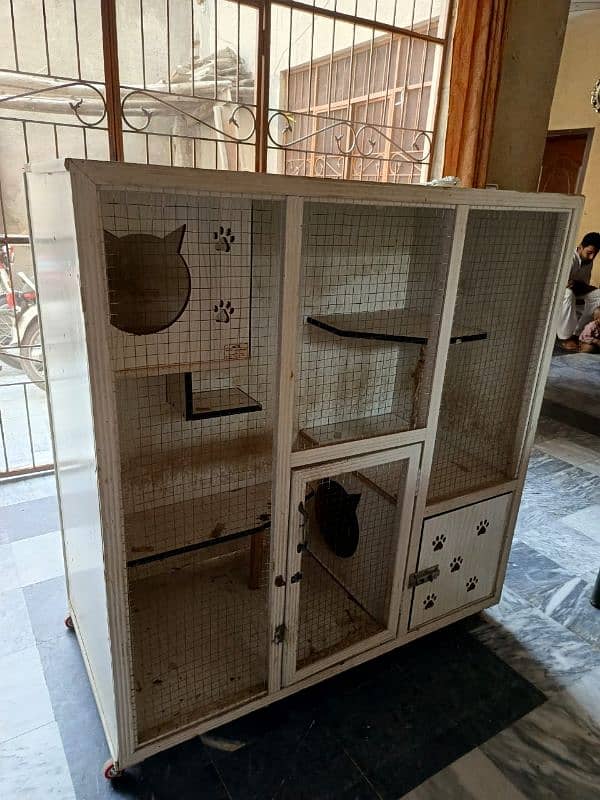 Birds Cage 6