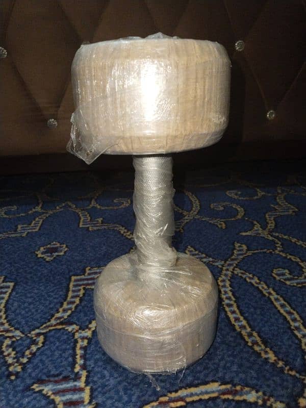 5kg single dumbbell 1