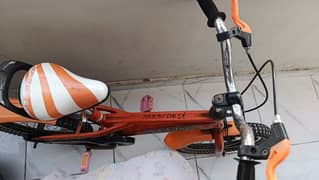 Speedy Bicycle buy frm saudia/ 0345 55 09 662