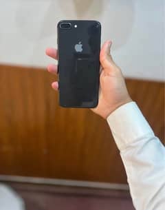 8plus pta