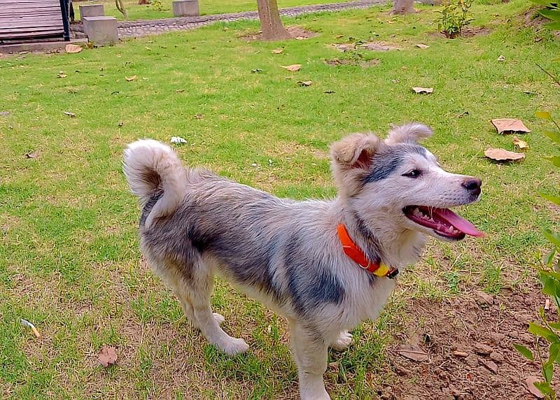 Daisy and Max 5