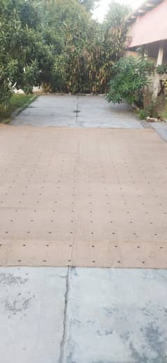 Light Brown carpet for sale