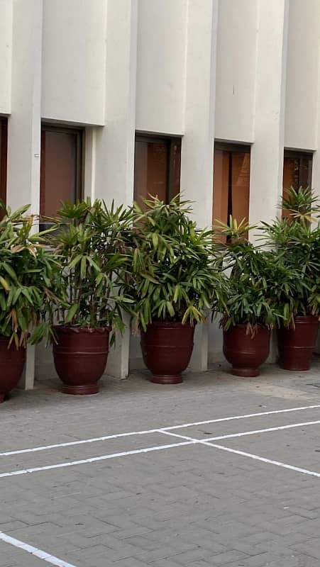 4 Kanal Lafite Commercial Building available for Rent in Gulberg Lahore 4